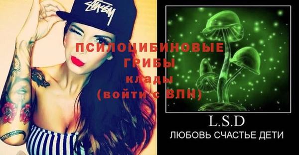 марки lsd Белокуриха