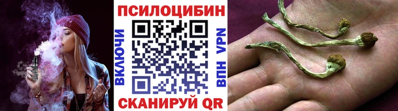 Псилоцибиновые грибы Cubensis Кушва